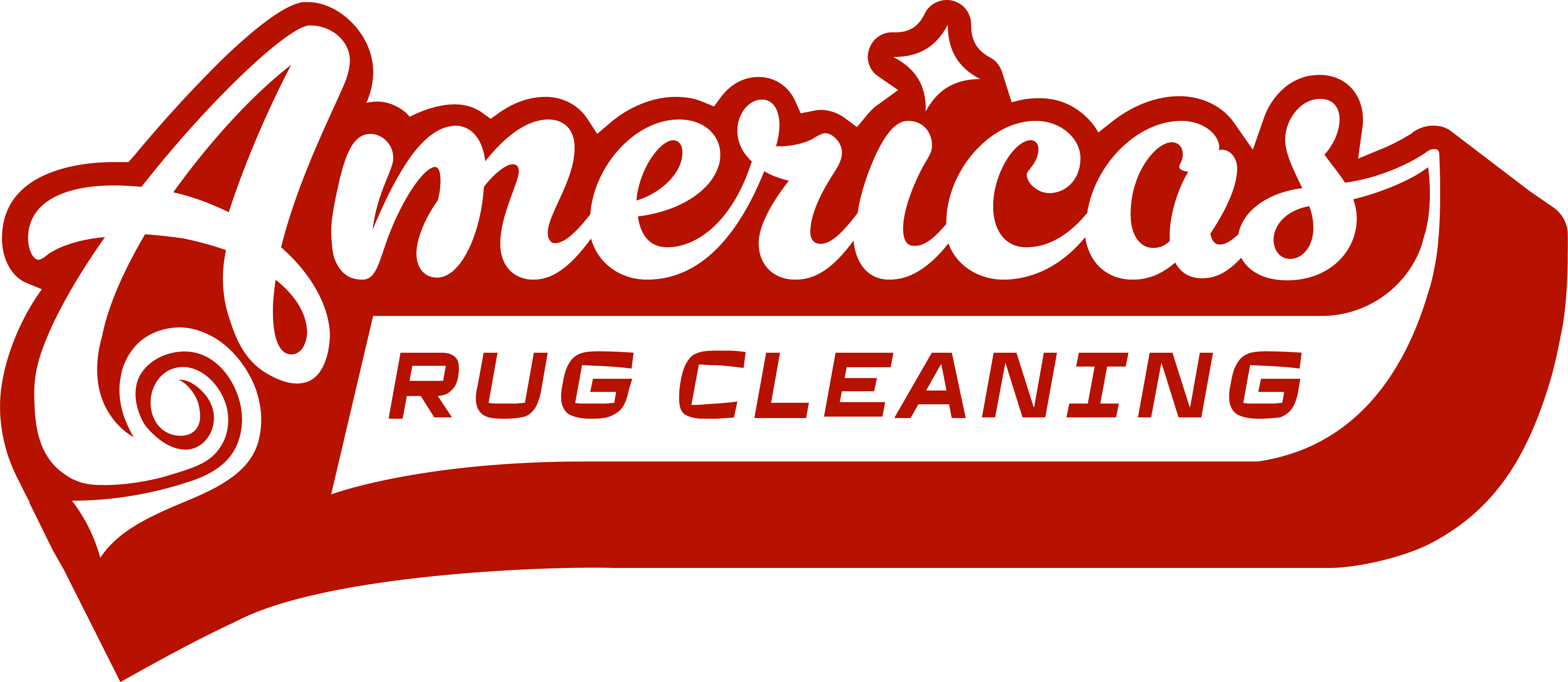 Americas Rug Cleaning