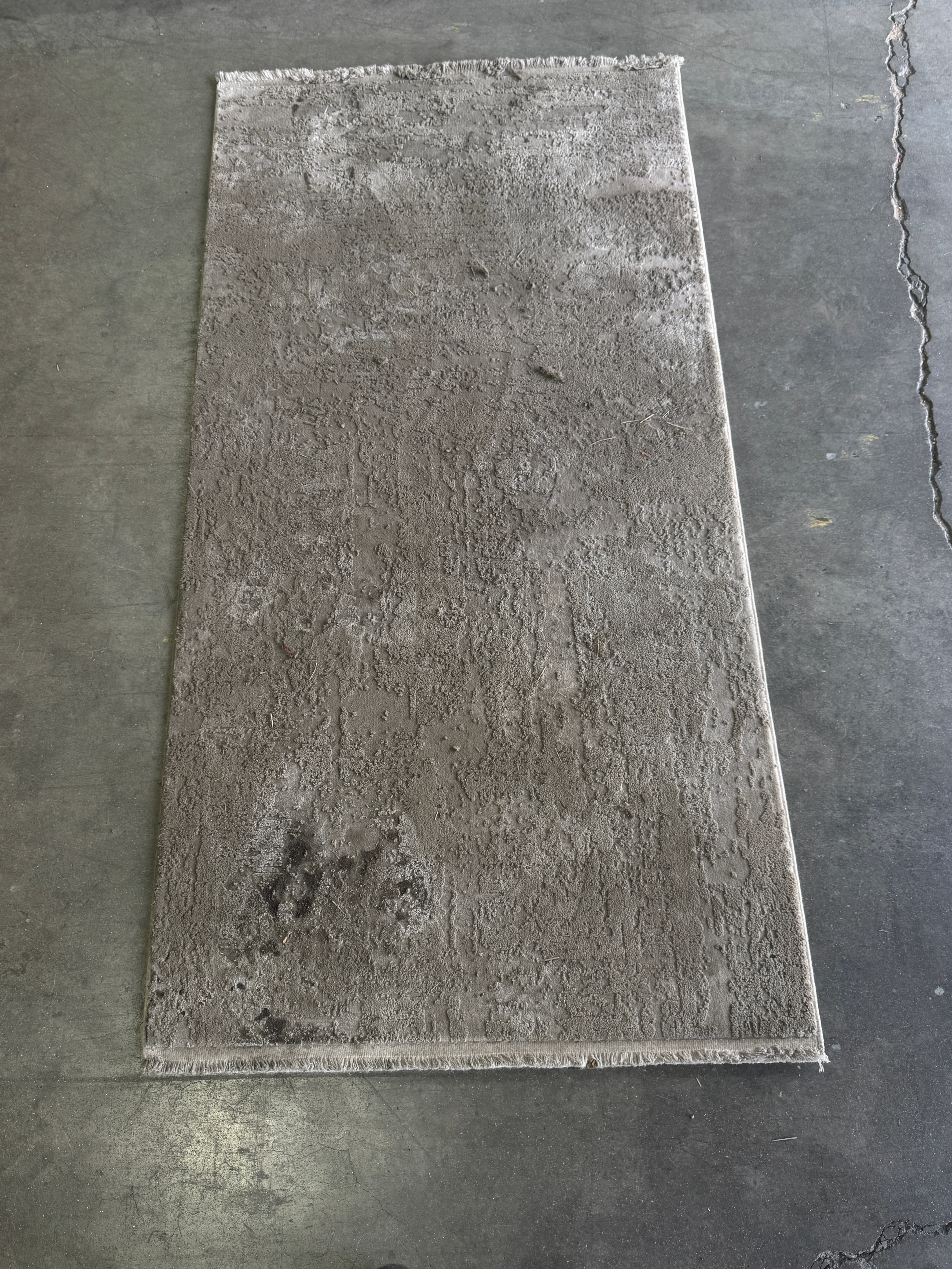 Rug before cleaning