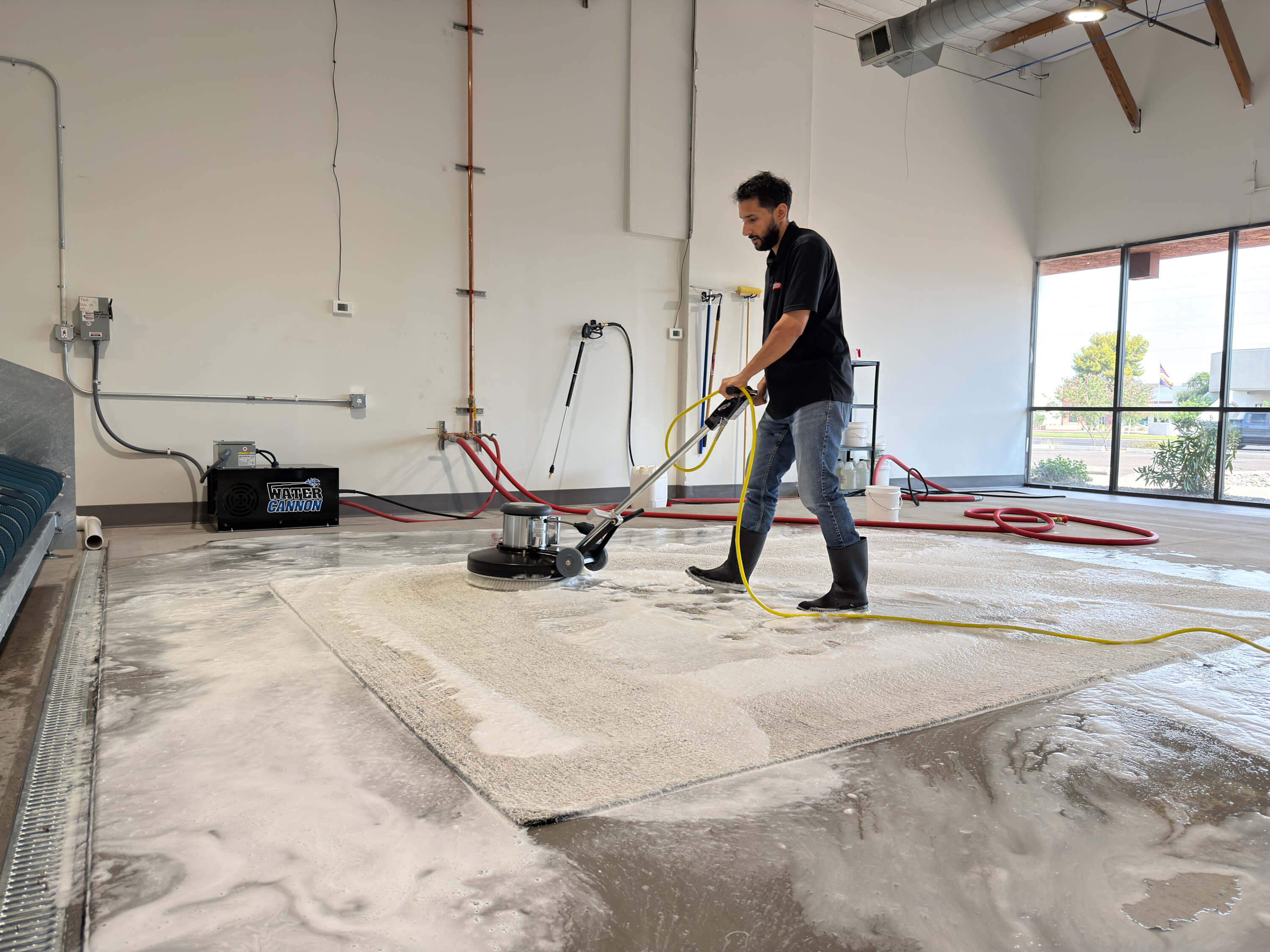 Americas Rug Cleaning Scottsdale facility specialist