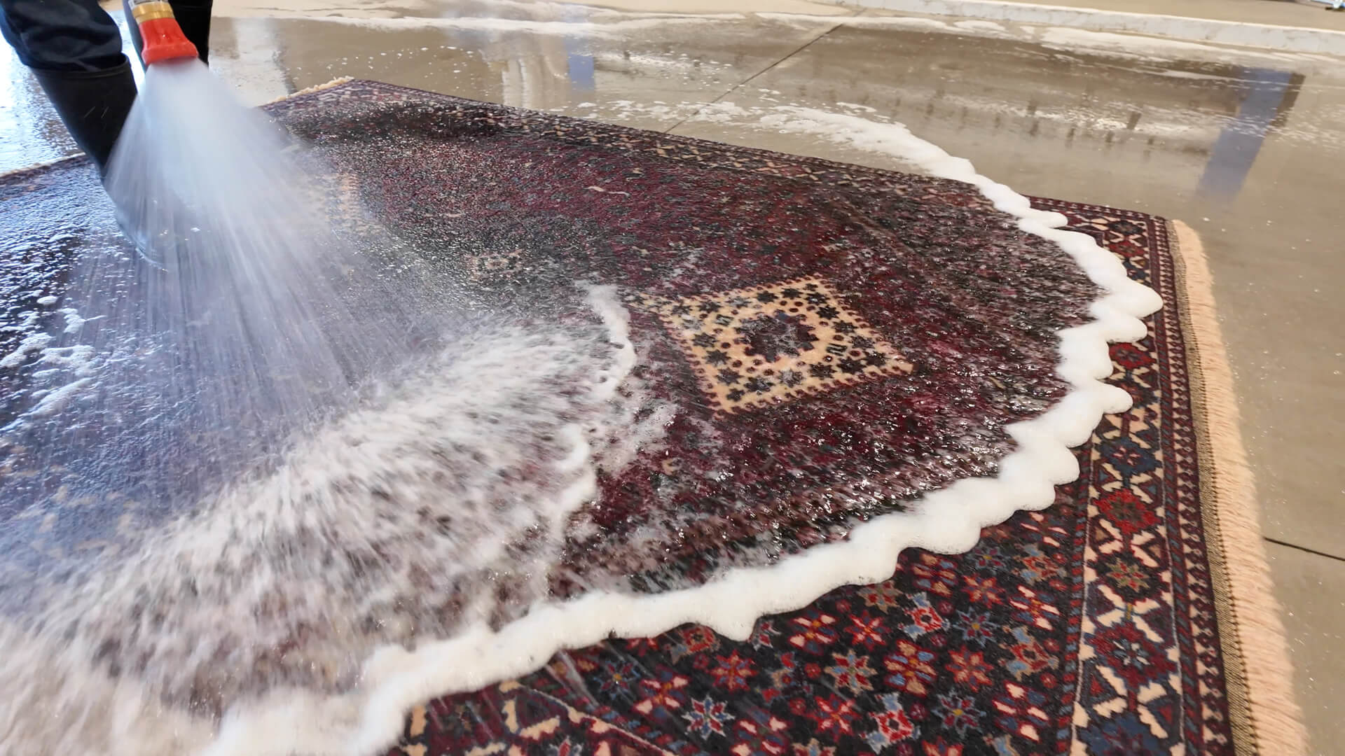 Facility submersion rug cleaning phoenix az